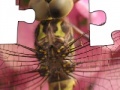 Game Jigsaw: Dragonfly
