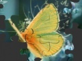 Game Butterfly
