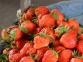 Game Jigsaw: Strawberry Basket