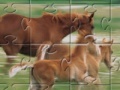 Game Horse Family Jigsaw Puzzle