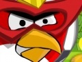 Game Angry Bird protect home