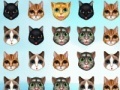 Game Kitty Matching 