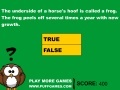 Game Useless Animal Facts