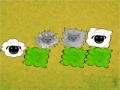 Game Run sheep, run!