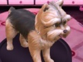 Game Barbie: Groom and Glam Pups