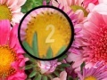 Game Flowers 3 Hidden Numbers