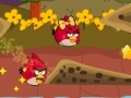 Game Angry birds water аdventure