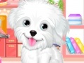 Game Fluffy puppy pet: Spa and care