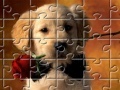 Game Puzzles Little Puppy