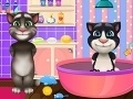 talking tom online spielen talking tom online spielen