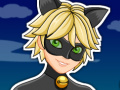 Game Miraculous Ladybug Cat Noir