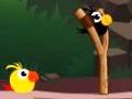 Game Cute Birds Forest