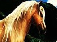 Game Fantastic horses