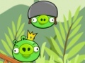 Game Angry birds piggies balance