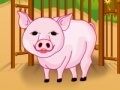 Game baby pig care