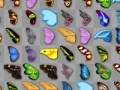 Schmetterlings Kyodai Kostenlos Spielen
