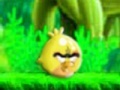 Game Little Angry Bird's Adventrue