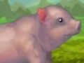 Game Clean Little Piggy