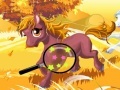 Game Horses hidden numbers